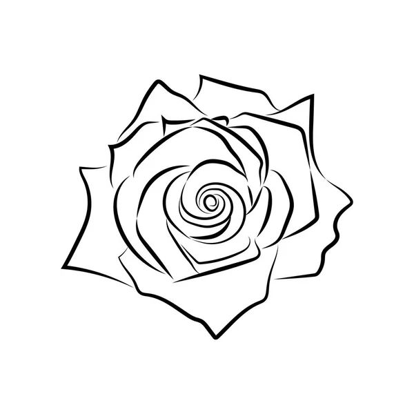 Dibujo de la línea de dibujo de rosa — Vector de stock