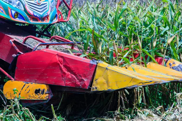 Maisernte auf Ackerland in Thailand — Stockfoto