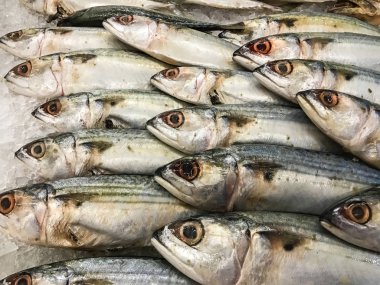 Pazarda buzda taze balık