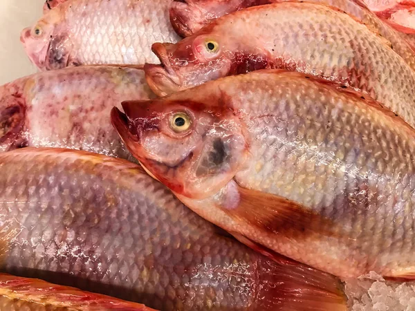 Pescado fresco sobre hielo en el mercado —  Fotos de Stock