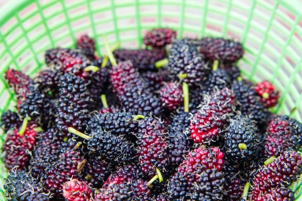 Mulberry i korg på trä bakgrund — Stockfoto