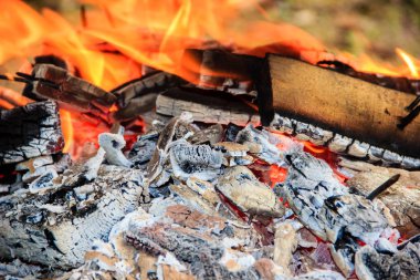 Alev ateş yakacak odun şenlik ateşi