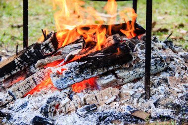 Alev ateş yakacak odun şenlik ateşi