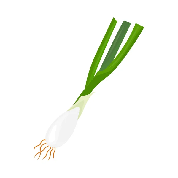 Ilustración aislada de cebolla verde sobre fondo blanco — Vector de stock