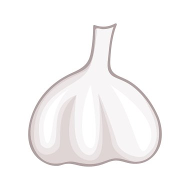 Beyaz arka plan üzerinde izole sarımsak sebze