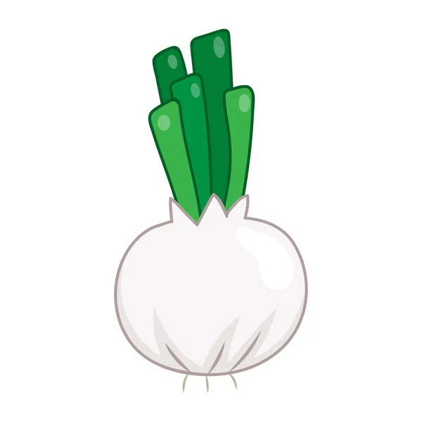 Ail légumes isolés sur fond blanc — Image vectorielle