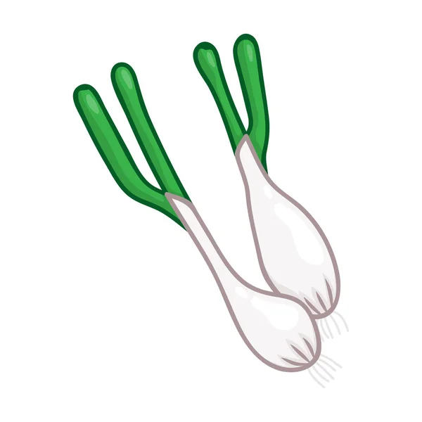 Illustration isolée d'oignon vert sur fond blanc — Image vectorielle