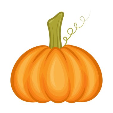 Beyaz arkaplanda kabak izole