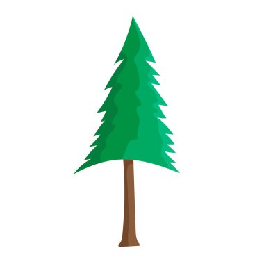 Noel ağacı beyaz arka plan üzerinde illüstrasyon izole