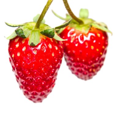 Çilek beyaz arkaplanda izole edildi