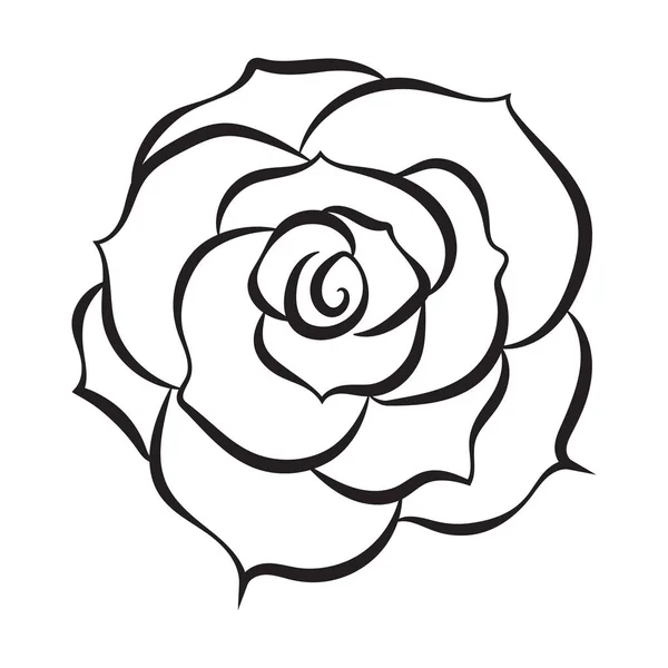 Croquis dessin de ligne de rose isolé illustration sur fond blanc — Image vectorielle