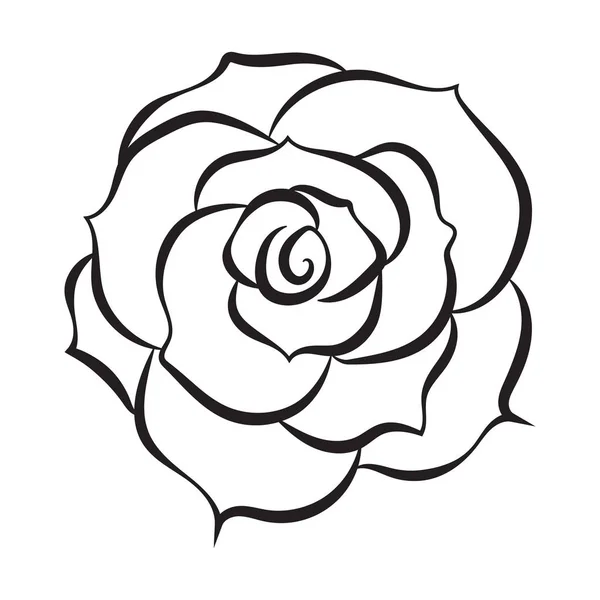 Desenho de linha de esboço de rosa ilustração isolada em backg branco —  Vetores de Stock