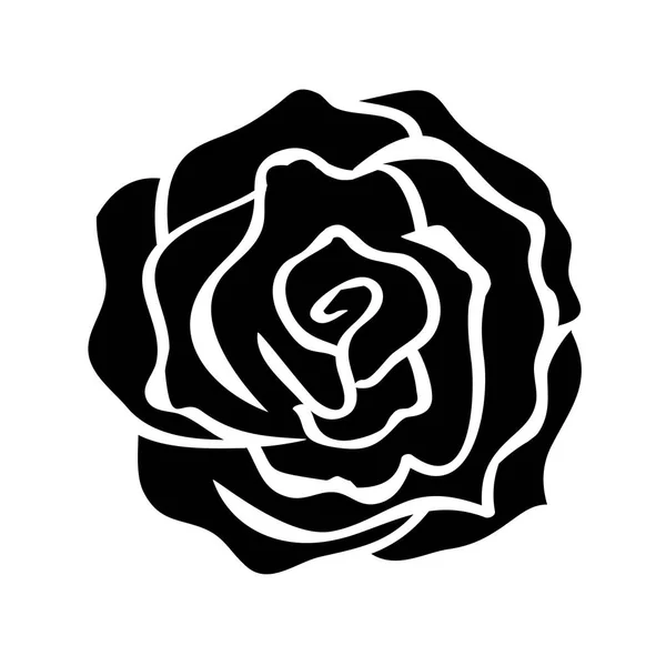 Τριαντάφυλλο εικονογράφηση απομονωθεί σε λευκό φόντο — Διανυσματικό Αρχείο