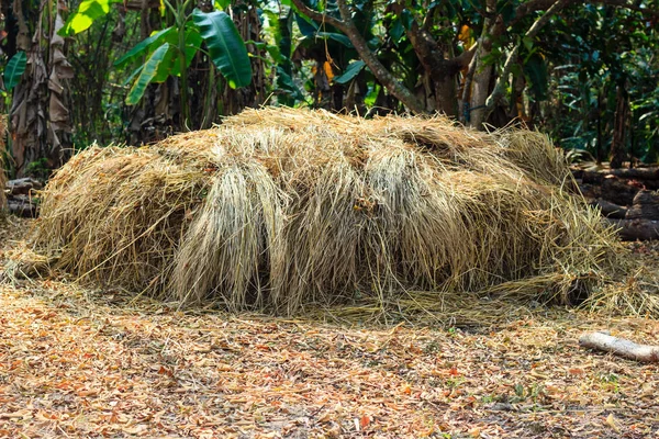 Pilha de palha no chão — Fotografia de Stock