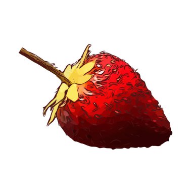 Beyaz arka plan üzerinde çilek izole illüstrasyon