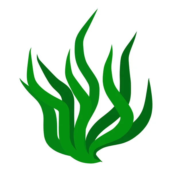 Algas verdes ilustración aislada sobre fondo blanco — Vector de stock