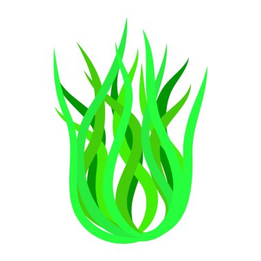 beyaz zemin üzerine yeşil algler izole illüstrasyon