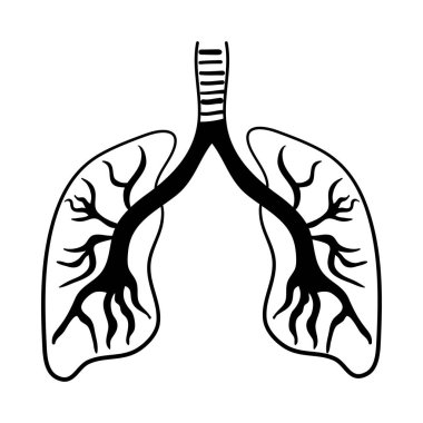 İnsan akciğerleri Simgesi beyaz arkaplandaki resimleri izole etti