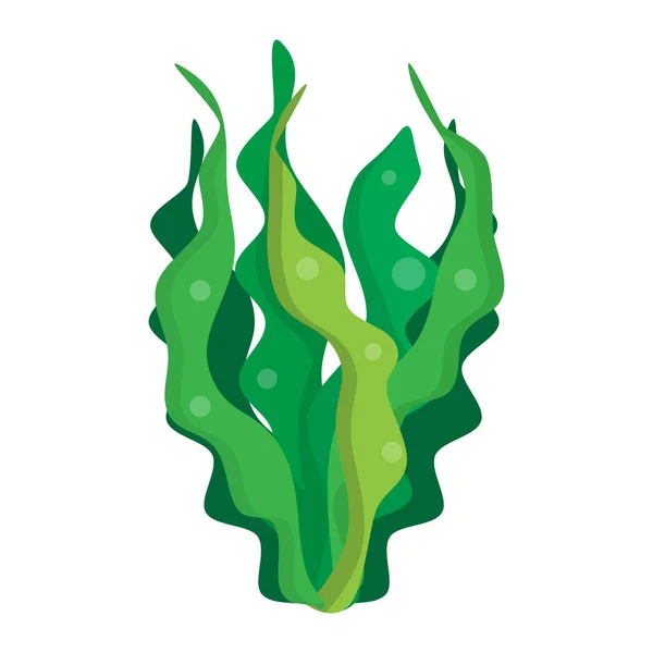 白い背景の上の分離された緑の藻図 — ストックベクタ