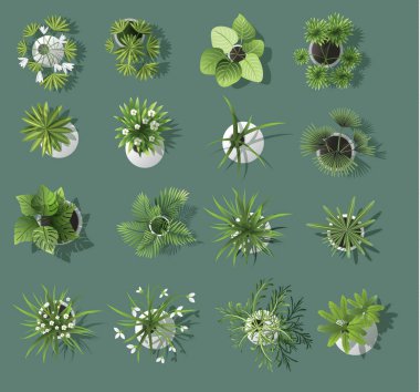 ağaç üst sembolleri, mimari için ayarla veya peyzaj tasarımı, harita için vektör