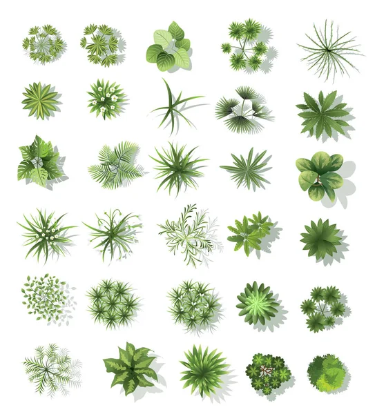 Treetop sembollerin için mimari ayarla veya peyzaj tasarımı, harita için vektör