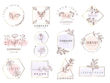 Yazdırma, ürün, vektör illüstrasyonu için el çizimi suluboya etiketleri ve rozetler