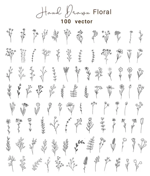 Набор Векторных Винтажных Цветов Листьев Стиль Ручной Работы Элементы Оформления — стоковый вектор