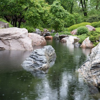 Kaya kaplı havuza Japon bahçesi