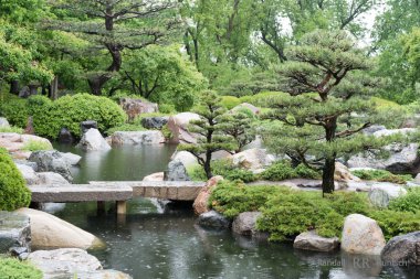 Japon bahçe taş köprüsü