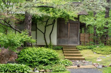 Japon bahçe evde çay