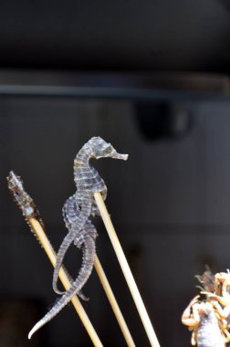Çin'deki sokak gıda snack gibi bir çubuk üzerinde Hutongs Beijing Wangfujing Caddesi denizatı Çince sokak gıda