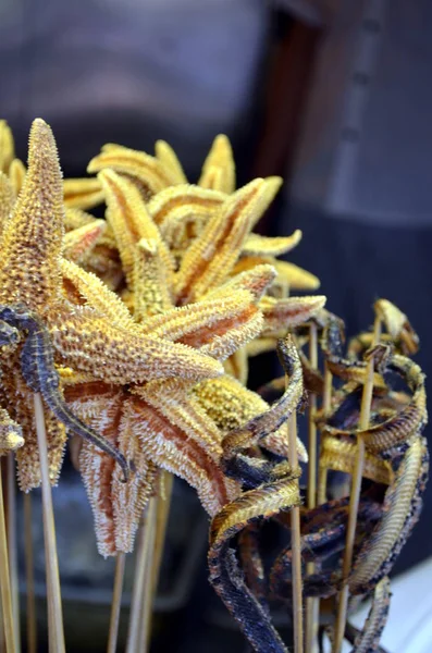 Fried starfish and fried Seahorse - China traditional food at Wangfujiang street in China