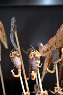 scorpionas sokak aperatifler Çin - Çin sokak gıda Hutongs Beijing Wangfujing Caddesi'nde yaşamak