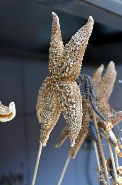 Fried starfish and fried Seahorse - China traditional food at Wangfujing street in China