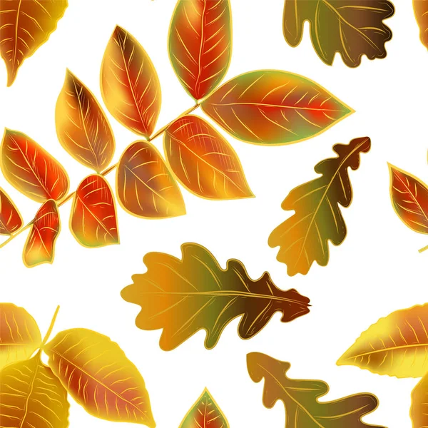 Lindas folhas de outono brilhantes no fundo branco, padrão sem costura vetorial — Vetor de Stock