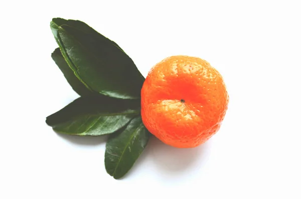 Mandarina Con Hojas Sobre Fondo Blanco Colores Nostálgicos — Foto de Stock