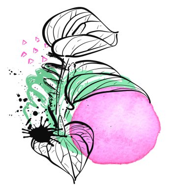 Calla Lily çiçekler beyaz zemin üzerine suluboya sıçraması ile tebrik veya davetiye kart olarak kullanılabilir