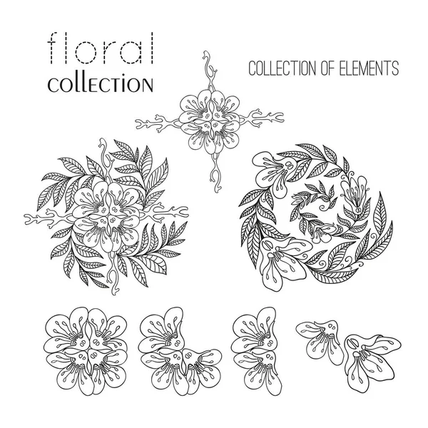 Circular Floral Ornament Set — Stock Vector