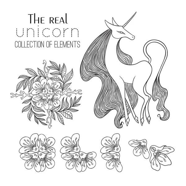 La verdadera colección Unicornio — Archivo Imágenes Vectoriales