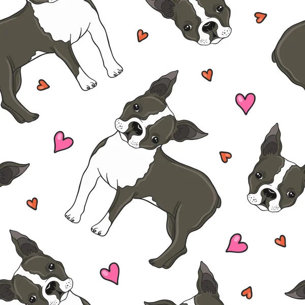 Boston Terrier And Hearts Seamless Pattern — Stock Vector