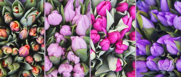 Mistura de tulipas diferentes. Fundo da primavera — Fotografia de Stock