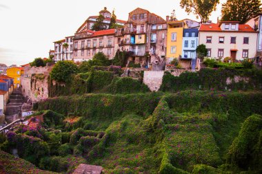 Kiremitli çatıları Porto. Douro nehir. Yaz şehir manzarası.
