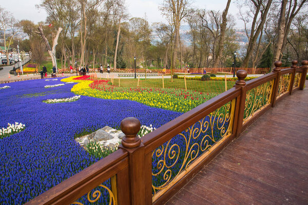 СТАМБУЛ, ТУРКЕЙ - 11 апреля 2017 года: Всемирно известный фестиваль тюльпанов в парке Эмирган, Стамбул, Турция. Цветение тюльпанов
.