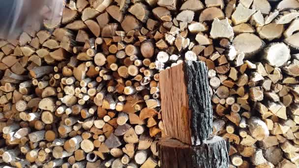 Готуємо дрова, обрізаємо деревину сокирою.4k — стокове відео