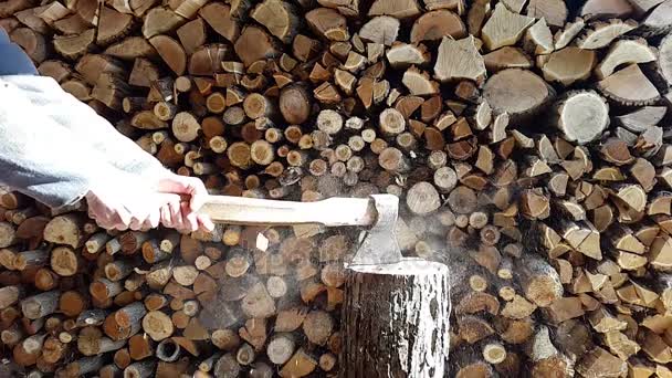 Préparation du bois de chauffage, coupe du bois avec un ax.Slow motion — Video