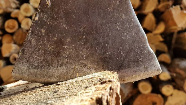 Preparazione legna da ardere, taglio legna con ascia . — Foto Stock