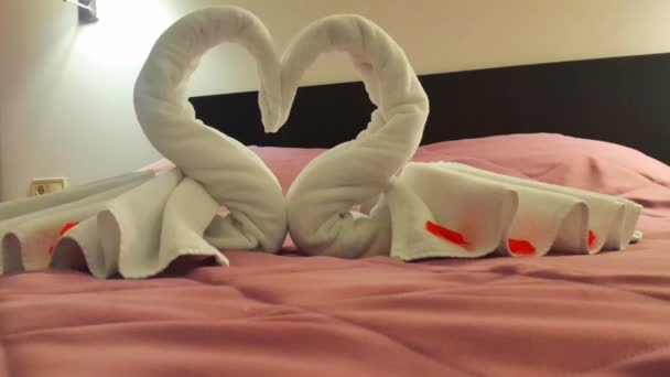 Handdukar på sängen i hotellet — Stockvideo