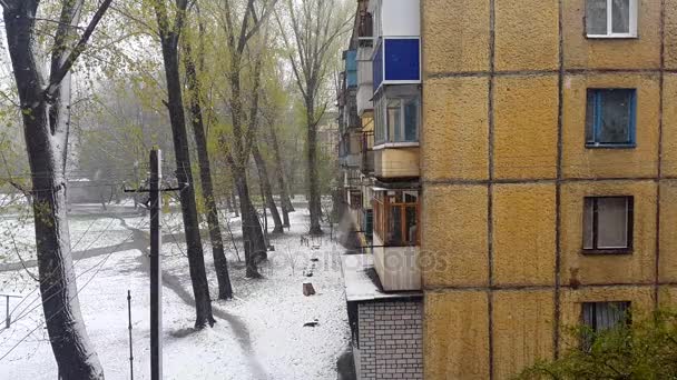 Multi-lantai bangunan. Salju dan pohon . — Stok Video