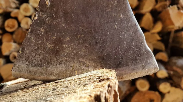 I ceppi di ascia sullo sfondo sul mucchio di legna da ardere — Foto Stock