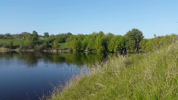 Lake Shore. Verano paisaje auténtico — Vídeo de stock